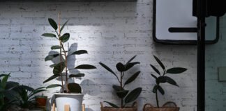 Creative DIY Indoor Plant Stand Ideas to Upgrade Your Home Decor